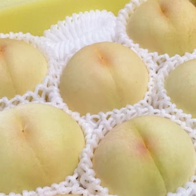 【2025年先行予約】2025年7月下旬頃より発送予定・岡山の白桃・清水白桃(2kg箱)【配送不可地域：離島】