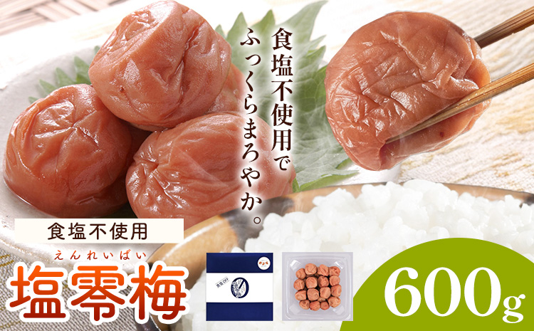 塩零梅 梅干し 紀州南高梅 食塩不使用 有限会社プラム 600g 《30日以内に出荷予定(土日祝除く)》和歌山県 日高町 送料無料 梅 うめ ウメ 南高梅 紀州---wsh_plm14_30d_25_