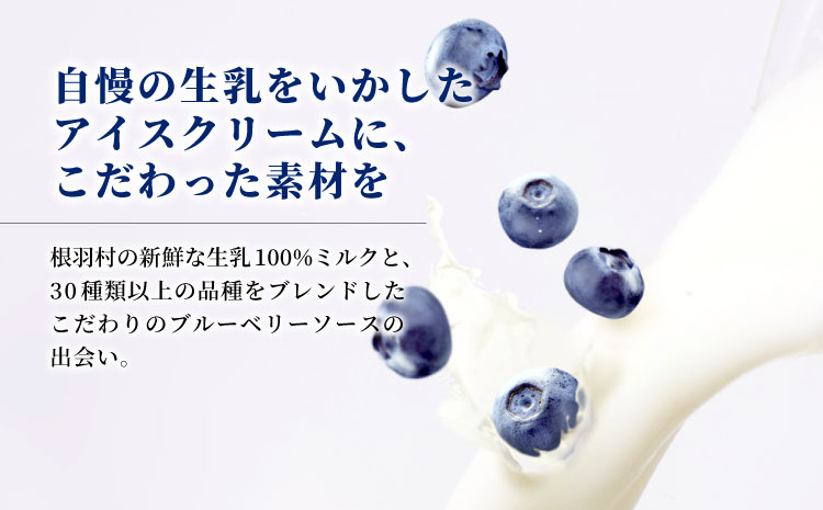 新鮮な生乳を100％使用! 生ソフトクリームアイス & いなぶのブルーベリーアイス　(80ml)×8個セット