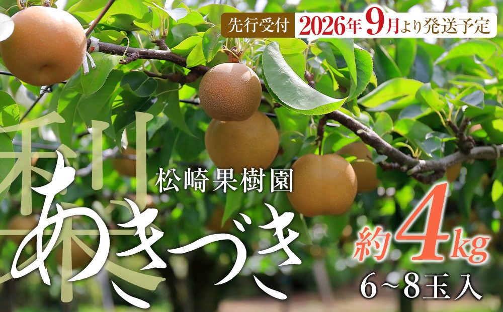 
            【2026年発送／先行予約】梨「あきづき」約4kg（6～8玉入）【松崎果樹園】
          