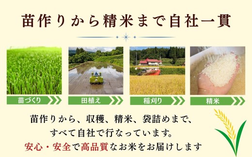 《2026年11月より6回》【定期便】こしひかり 精米 5kg 瑞穂 豊米 5㎏×6回 合計60kg（Cl-005-11）