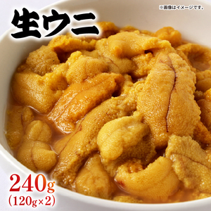 生うに 240g (120g×2) 冷蔵 ミョウバン不使用 生ウニ 雲丹 キタムラサキウニ ウニ丼 うに ウニ Sea urchin 新鮮 直送 産地直送 生食 生 ごはん 夕飯 おかず おつまみ 晩酌 米 丼 海産物 海鮮 魚介 魚介類 大船渡 三陸 岩手県 国産
