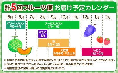 【定期便5回】 厳選フルーツ便 (メロン ぶどう 梨 柿 いちご) 《お申込み月の翌月から出荷開始》葡萄 ブドウ ナシ なし かき 太秋柿 イチゴ 苺 果物 くだもの セット 詰め合わせ 定期便