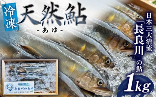 【世界農業遺産】清流長良川 天然鮎(冷凍) 1kg 8月～9月申込 産地直送 新鮮 あゆ 岐阜市/SONAMU [ANEX003]