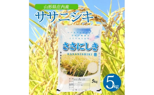 令和7年産【精米】ササニシキ　5kg×1袋 AK SB0782