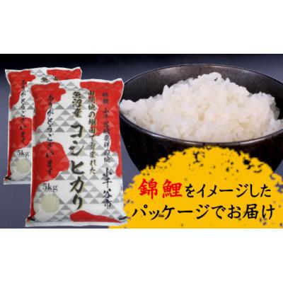 ふるさと納税 小千谷市 【令和7年産】特別栽培米 魚沼産コシヒカリ 精米10kg 棚田米 錦鯉発祥の地 小千谷産 新潟県