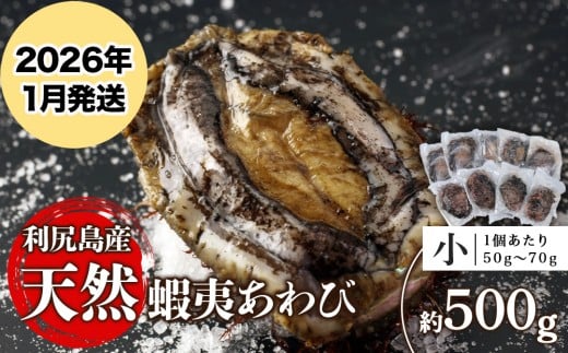 【2026年1月発送】利尻島産 天然蝦夷あわび 500g＜小＞（50g～70gサイズ）＜利尻漁業協同組合＞