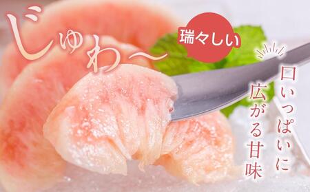 桃 極上秀品 約2kg 6～9個入【先行予約】【2024年6月中旬頃から発送】【KG2】