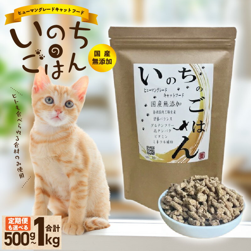 【ふるさと納税】国産 無添加 キャットフード いのちのごはん タンパク質 66％以上配合タイプ 500g / 1kg / 定期便 香料 着色料 酸化防止剤 保存料 不使用 猫 ペットフード チキン 手作り ヒューマングレード ペット用品 ペット エサ お取り寄せ 大阪府 泉佐野市 送料無料