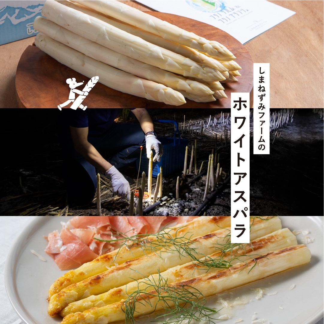 【令和8年産】しまねずみファーム限定 ホワイトアスパラ 1.8kg×【平川ワイナリー】白ワイン 750ml セット ( ホワイトアスパラガス アスパラ アスパラガス 野菜 やさい ワイン ワイナリー 