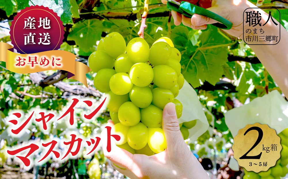 
            【2025年8月下旬より発送】シャインマスカット　２キロ　３～５房　土橋農園[5839-1884]
          