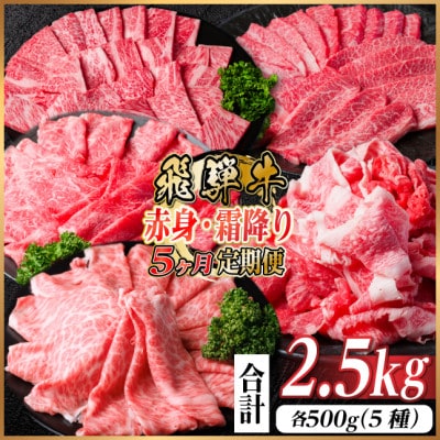 【毎月定期便】飛騨牛　赤身・霜降り定期便　計2.5kg カルビ・赤身・ロース(焼肉・BBQ用)全5回【配送不可地域：離島】【4075138】