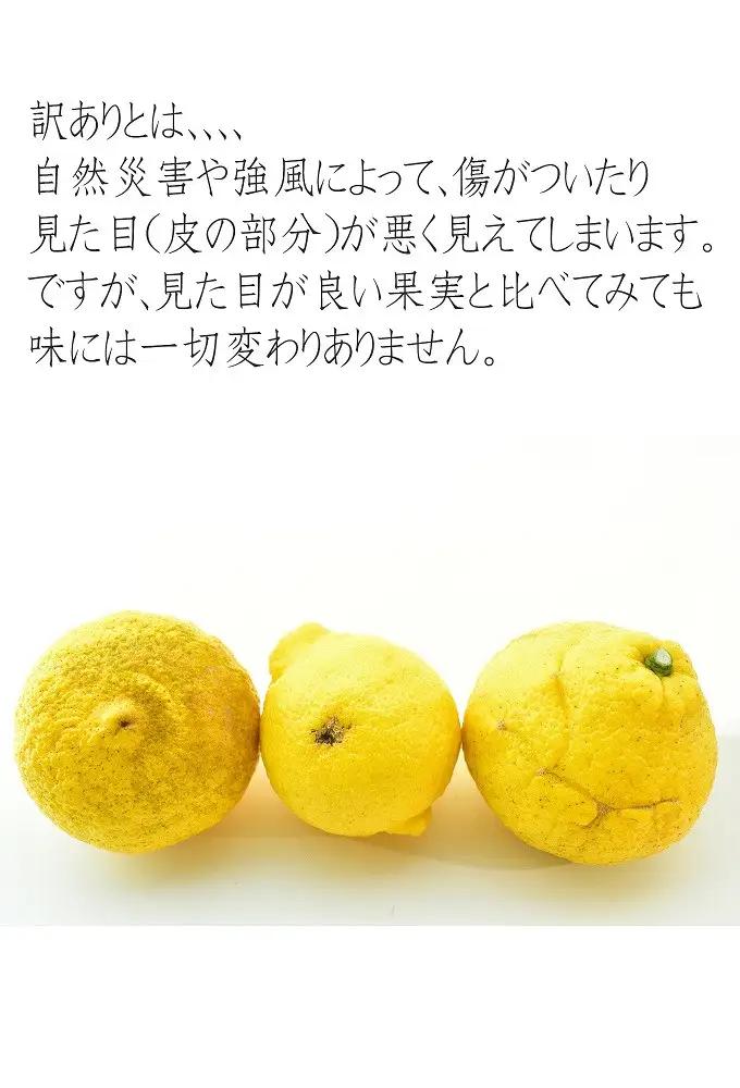 はるかみかん 6kg 訳あり はるか 和歌山県産より農家直送 フルーツ 果物 家庭用［Mg29］