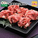 【ふるさと納税】 坂井市産 福井県産 (国産 和牛)若狭牛切り落とし 2.8kg 用途色々！スタミナUP！健康長寿！