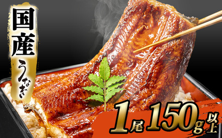 ＜2025年12月発送＞ 国産 うなぎ 蒲焼き 1尾 150g以上 うなぎ K2465