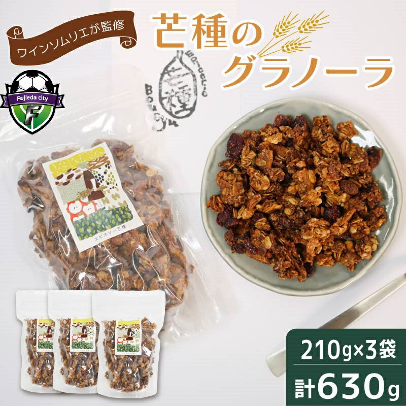 【ふるさと納税】 グラノーラ 手作り 210g×3個 計630g 国産 オーガニック 有機 ドライフルーツ フルーツ ナッツ ワイン おつまみ 果物 レーズン くるみ 朝食 シリアル 健康 美容 低カロリー 食物繊維 朝ごはん おやつ ギフト プレゼント 贈り物 藤枝市 静岡県