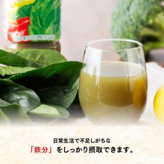 伊藤園 充実野菜 緑の野菜ミックス 740g×15本PET 野菜飲料 野菜ジュース ミックスジュース 飲料類 セット ジュース ソフトドリンク ケース[E7318]