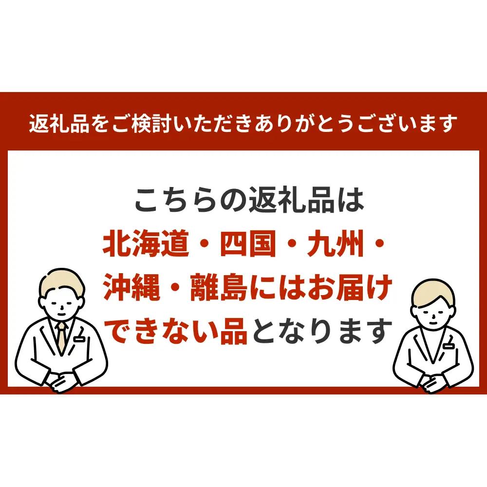 氷見産山ぶどうのババローニャ4個セット パティスリーシュン　【お菓子・スイーツ】