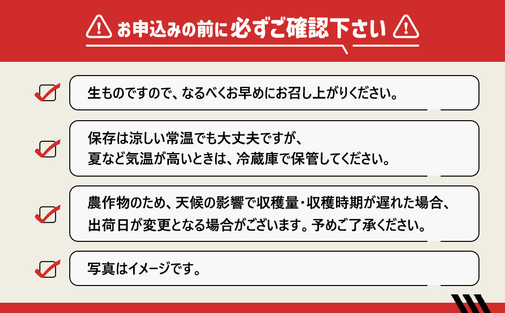 ［2027年3月出荷分］和歌山産ミニトマト「アイコトマト」約1kg（M・Lサイズおまかせ） ［TM265］