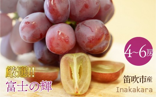 Inakakara厳選! 富士の輝 4～6房(計2～2.1kg) 192-033-26y