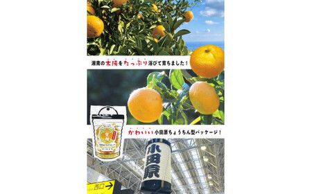 無添加ドライフルーツ(みかん)20g×2袋入【 神奈川県小田原市 】