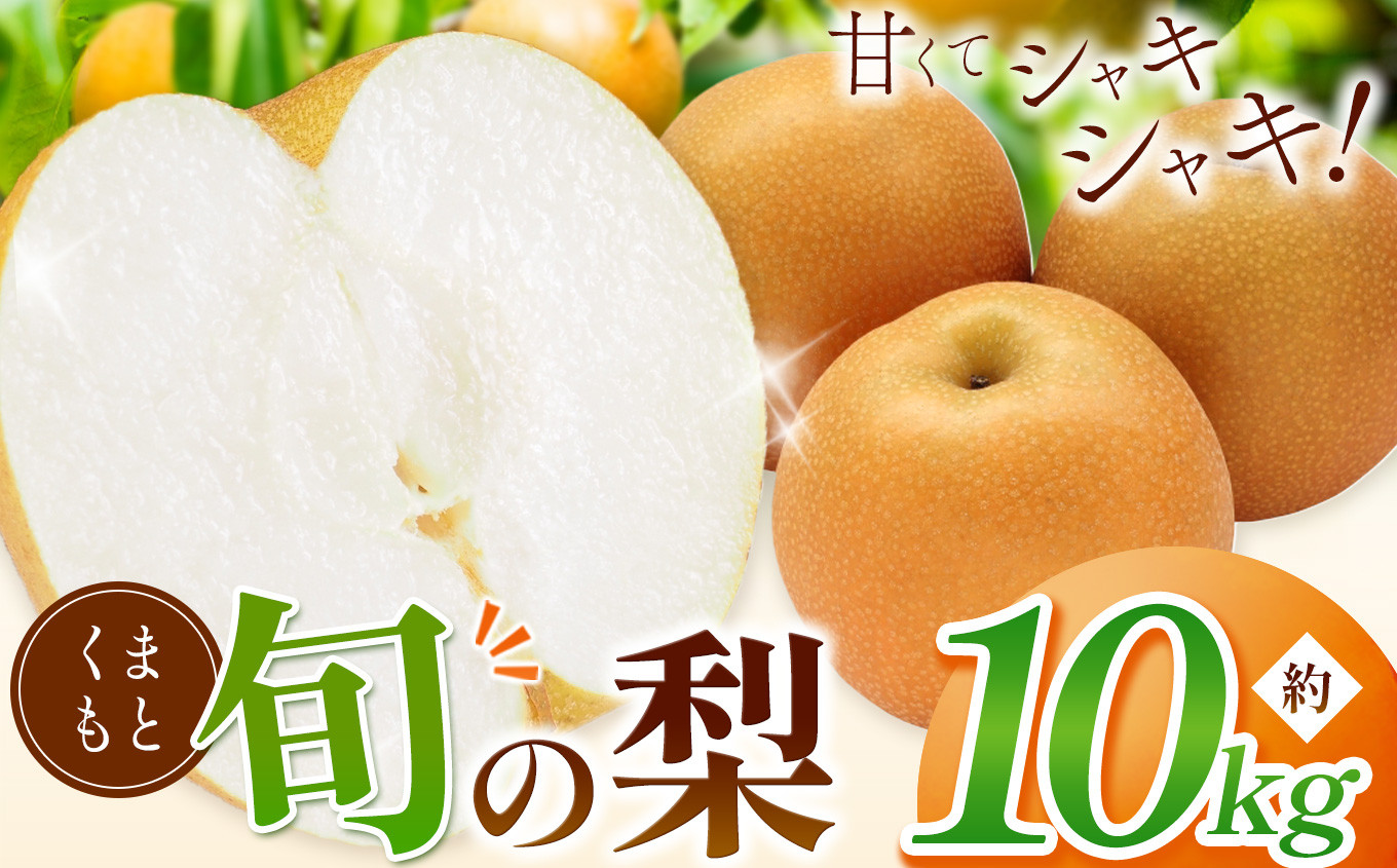 
            くまもと 旬の 梨 約 10kg | 果物 フルーツ なし 豊水 凛夏 秋麗 秋月 あきづき 新高 甘太  熊本県 和水町 なごみまち
          
