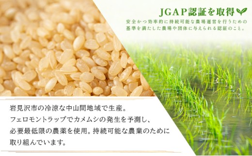 令和8年産！ファーム坂口の特別栽培米 ななつぼし玄米 30kg (30kg×1袋) 30kg(30㎏×1袋)