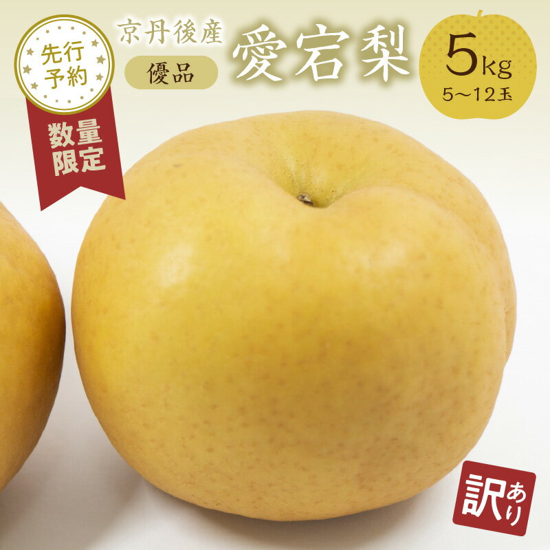【ふるさと納税】【先行予約／数量限定50】【訳あり】愛宕梨 優品 5kg（5～12玉入り）（2025年11月下旬～発送）国産 あたご梨 5〜12 個 梨 なし 期間限定 ふるさと 納税 訳あり 規格外 フルーツ くだもの 果物 傷 農家直送