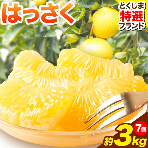 【ふるさと納税】＜ 先行予約 ＞ 八朔 はっさく 約3kg 7個 仕出原八朔生産組合《2025年2月上旬‐2025月3月上旬頃出荷》| とくしま特選ブランド 徳島県 美馬市