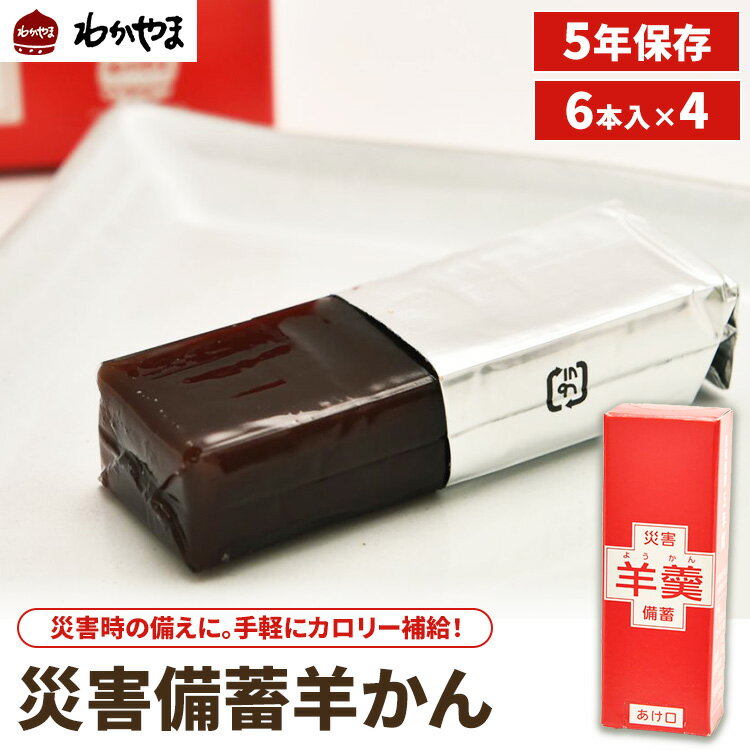 【ふるさと納税】災害時の備えに。災害備蓄羊かん 6本入×4 ※離島への配送不可