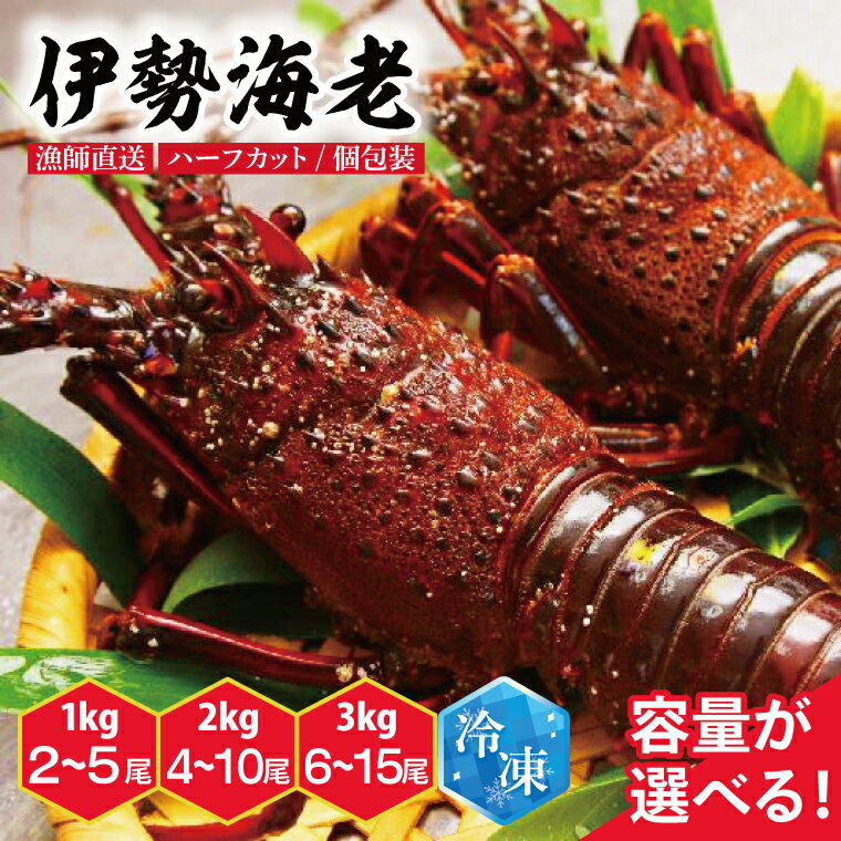 【ふるさと納税】【漁師直送／活〆冷凍】伊勢海老 【選べる容量】| 1kg/2~5尾 | 2kg/4~10尾 | 3kg/6~15尾 | 伊勢エビ 茨城県 鹿嶋市 鹿嶋（KBL-18-20）