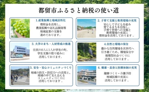 【ふるさと納税】日本製 3WAY寝袋 ｜ 再生羽毛（アップサイクルダウン）使用 軽量 コンパクト 洗える ｜ 防災 車中泊 キャンプ アウトドア クッション 掛け布団 にもなる 多機能 スリーピングバッグ 専用ケース付き　FUTON futon