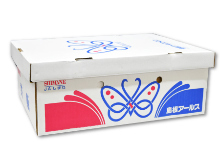 C-12 アールスメロン　秀品　1c/s（4玉）【秋作】