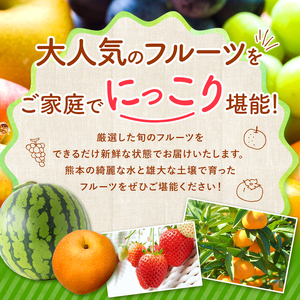 【 定期便 3回 】 ニッコリ 堪能 ！ 人気 フルーツ ご家庭用 ｜2回 3回 4回 5回 6回 7回 8回 9回 10回 11回 12回 4回（3カ月毎） 6回（2カ月毎） 