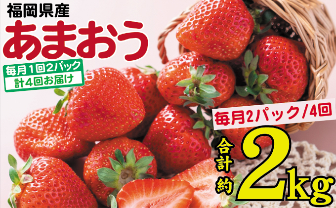 
フルーツ 定期便 4ヶ月 2024発送 あまおう いちご 2パック イチゴ 苺 4回 お楽しみ ※配送不可：離島
