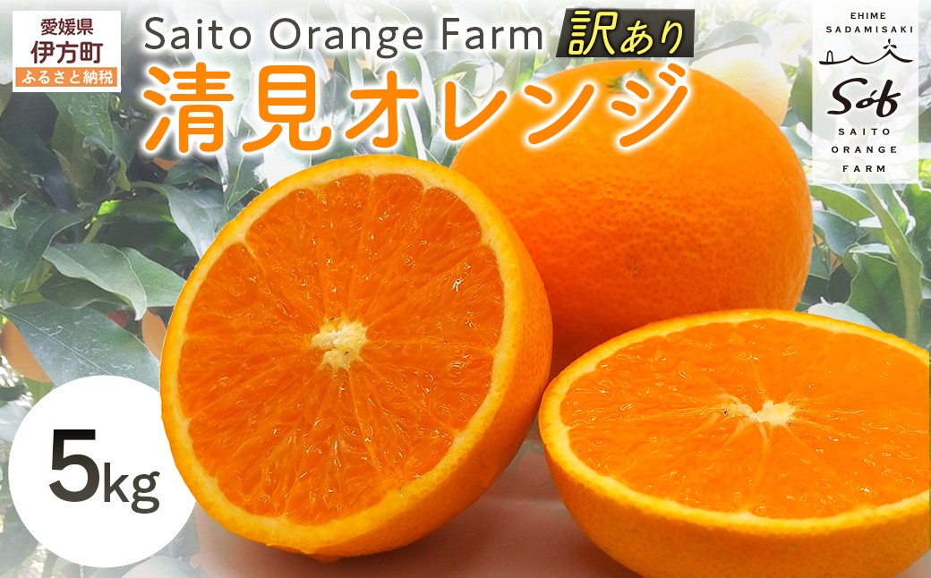 
                  【先行予約】Saito Orange Farmの訳あり清見オレンジ5kg（2027年3月中旬頃より順次発送予定） 【 ふるさと納税 人気 おすすめ ランキング みかん ミカン 蜜柑 柑橘 清見 オレンジ 清見オレンジ フルーツ 果物 産地直送 訳あり 西宇和 Saito Orange Farm 愛媛県産 愛媛県 伊方町 送料無料 】 IKTAQ009
                