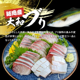 高級大和ブリのお造り8人前 N072-YA981