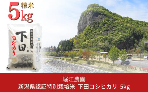 [9月中発送可] 新潟県認証特別栽培米 下田コシヒカリ 5kg [米 9月発送] 令和6年産 三条市産 こしひかり [堀江農園] 【011S161】