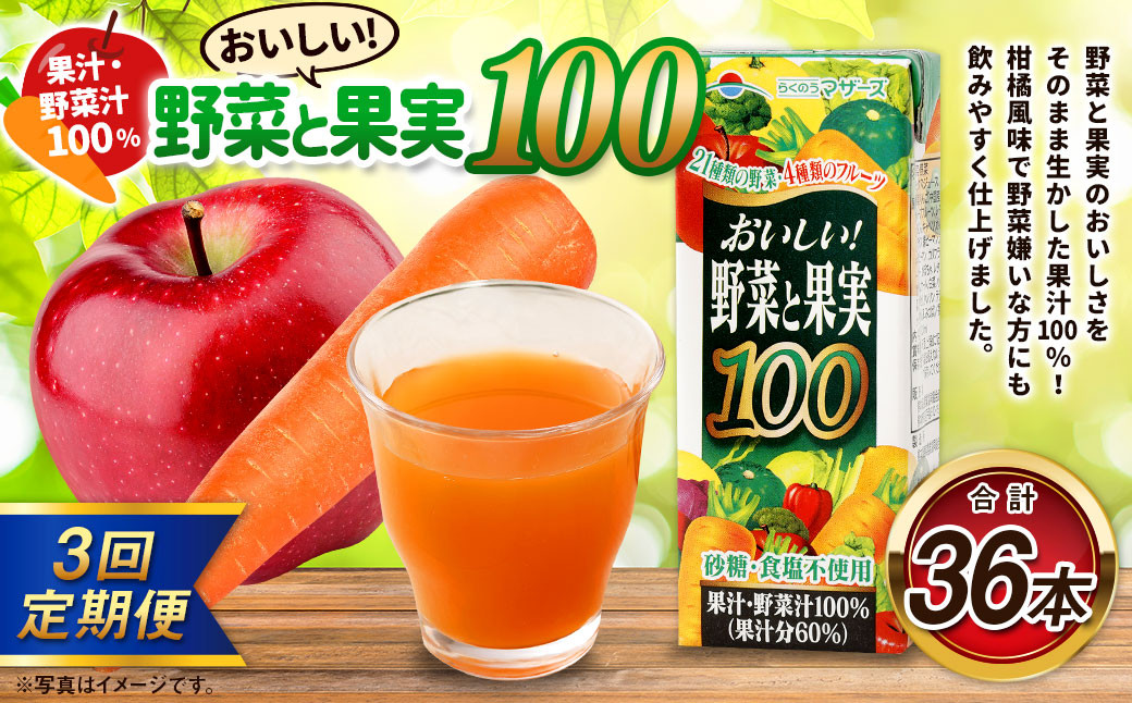 
            【3か月連続定期便】おいしい野菜と果実 200ml×12本×3回 合計36本 合計7.2L 果汁100% 野菜 果実 フルーツ ジュース フルーツジュース 常温 飲料 熊本県 らくのうマザーズ
          