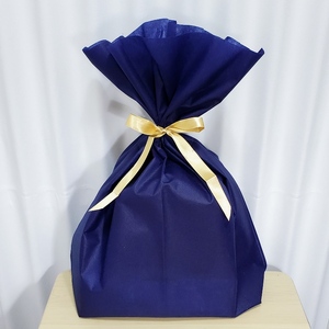 コケテラリウム制作キット直径15cm 動画説明付き〈コケ 植物 インテリア