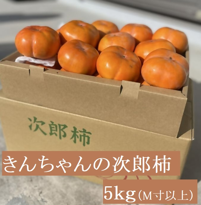 柿づくり40年以上　きんちゃん農園の次郎柿　5kg　KCN-01