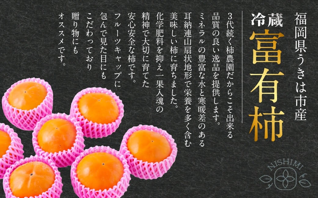 【先行予約】西見柿農園 冷蔵富有柿 9玉から11玉 (約3kg) 【2026年12月下旬-2027年1月下旬発送予定】 柿 かき カキ 果物 くだもの フルーツ 果実 ジューシー お取り寄せ 福岡県 