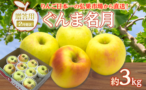 りんご 【 2月発送 】 贈答用 ぐんま名月 約 3kg　リンゴ 林檎 青森りんご 糖度 13度 甘い 酸味 デザート フルーツ 果物 お取り寄せ 産地直送 旬 季節限定 弘果物流 青森県 西目屋村 西目屋村産