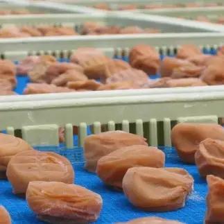 【贈答用】紀州南高梅 はちみつ入り味梅 400g 化粧箱入 【US22】