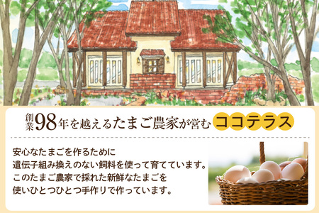 【９か月定期便】放し飼い米たまご15個+5個保証（計20個）農家直送 新鮮 卵 タマゴ 赤卵 玉子 鶏卵 朝食 夕食 夜食 朝ごはん たまご焼き オムレツ 卵ご飯 料理 濃厚 飼料にこだわった 卵かけ