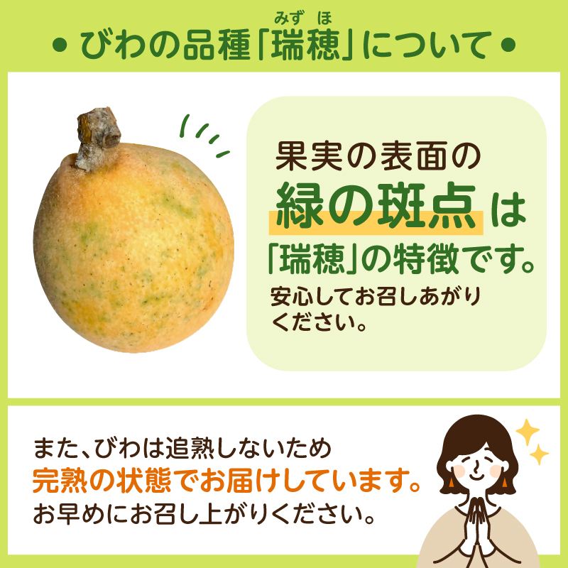 【先行受付 2026年5月中旬～6月中旬発送予定】【数量限定】生産者直送　ジューシー袋詰めびわ（訳あり混合サイズ12～18個）mi0057-0001