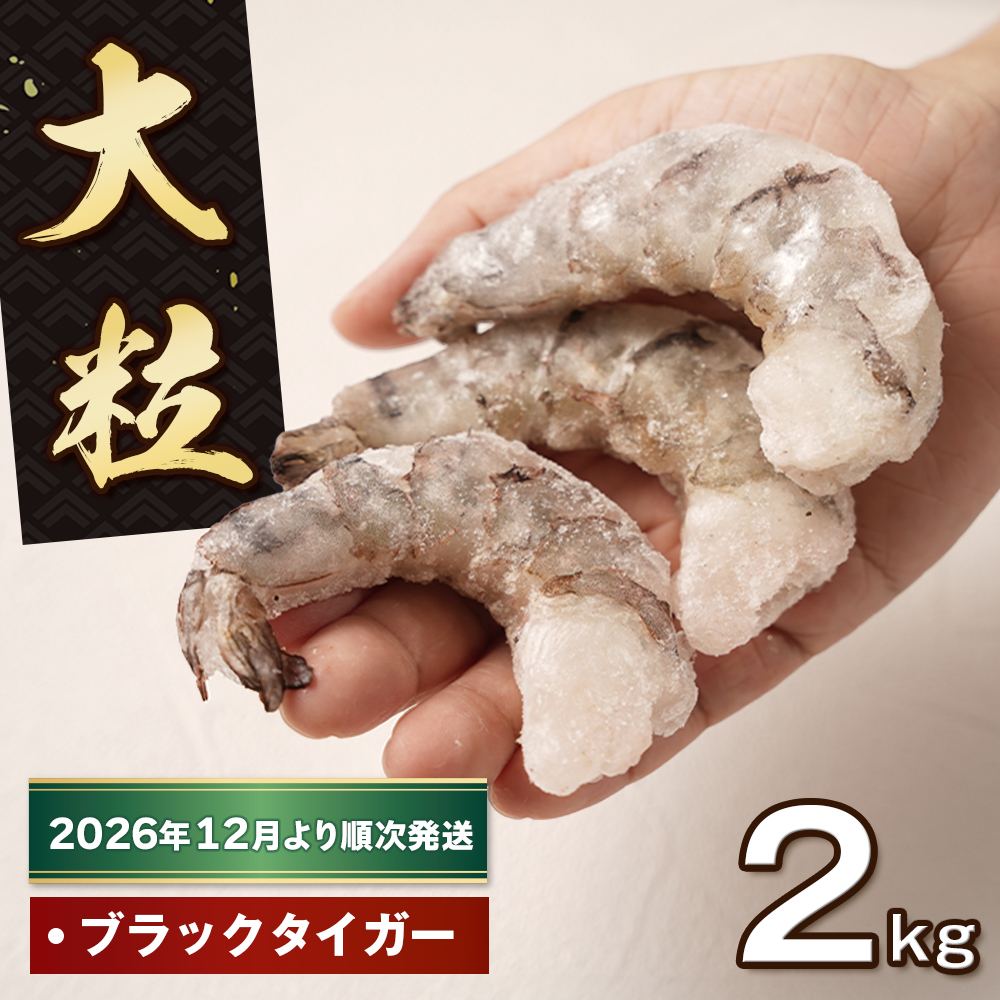 至福の大粒むきえび　背ワタ処理済 2kg（1kg×2袋）【2025年12月より順次発送】　えび