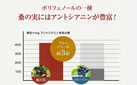 桑の実 ワイン （甘口） 500ml×1本【株式会社 峯樹木園】[AYBM003]