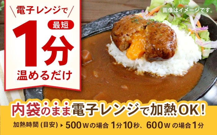 【小分け】日本ハム レストラン仕様カレー辛口10パックセット(1パック4袋入り)計40食分