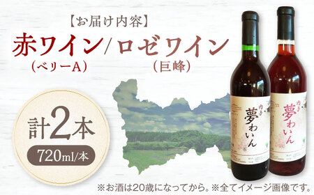 赤(ベリーA)+ロゼ(巨峰) 1本約720ml 各1本 計1440ml BKAG001 ワイン
